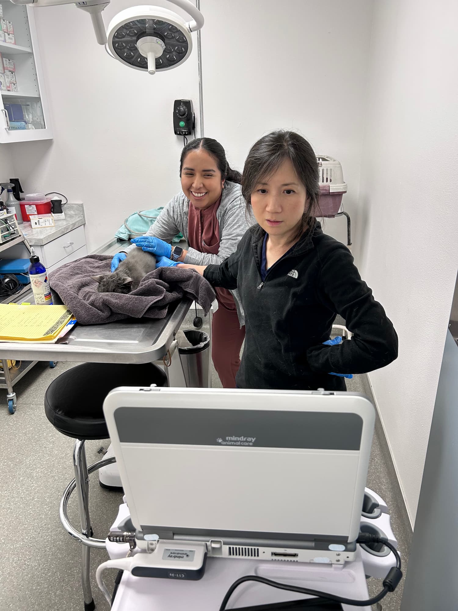 Two women in a veterinary clinic examine a small animal on a table using medical equipment; one woman types on a computer, the other monitors the animal.